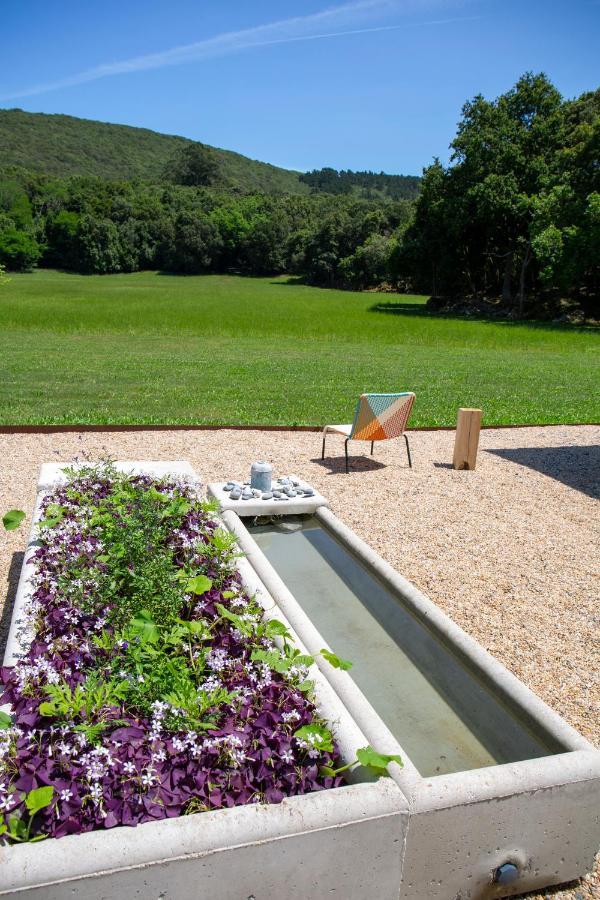 Vibe Luxury Cabins Arnuero Exterior photo
